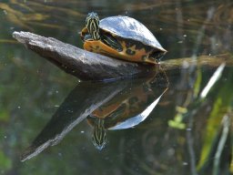 Florida_2007-2008-031